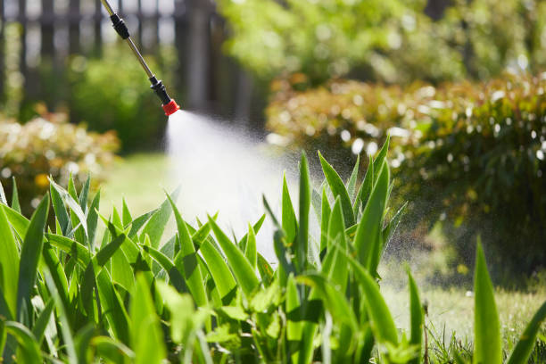 24/7 Emergency Cockroach Control experts in Warner Robins, GA
