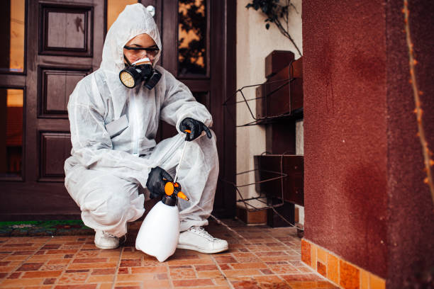 Reliable Cockroach Control contractor in Warner Robins, GA by Nex Pest Control